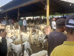 Pasar Hewan Sukanagara Ancam Kelangsungan Perdagangan di Cikaret