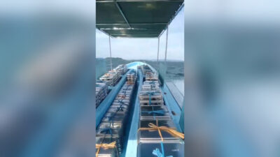 Menerjang Ombak Danau Sentani, Petugas SPPG Antar MBG dengan Kapal Cepat