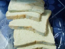 Lagi dan Lagi, Paket Makan Bergizi Gratis di Cianjur Justru Berisi Roti Basi dan Berjamur