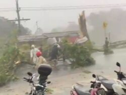 Hujan Deras Berujung Maut, Pohon Tumbang Tewaskan Warga Cianjur