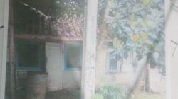 Diduga Abaikan Hak Warga, PLN Cianjur Disorot Soal Tiang Listrik Depan Rumah Warga Mande
