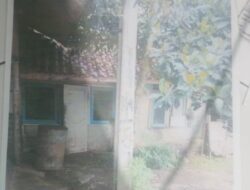 Diduga Abaikan Hak Warga, PLN Cianjur Disorot Soal Tiang Listrik Depan Rumah Warga Mande