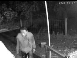 Puluhan Ayam dan Bebek Raib dalam Semalam, CCTV Rekam Aksi Pelaku