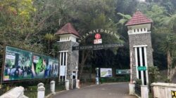 Mau Healing ke Cibodas Cek Dulu Tarif Resmi, Biar Dompet Tak Ikut Layu