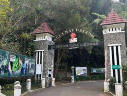 Mau Healing ke Cibodas Cek Dulu Tarif Resmi, Biar Dompet Tak Ikut Layu