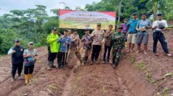 Kapolsek Bojongpicung Turun ke Ladang, Pimpin Penanaman Jagung Hibrida Demi Ketahanan Pangan