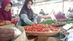 Harga Cabai Cianjur Naik, Rawit Domba Jadi yang Termahal