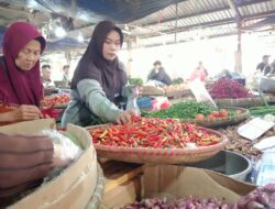 Harga Cabai Cianjur Naik, Rawit Domba Jadi yang Termahal