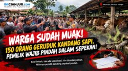 Bau Limbah Bikin Geram, 150 Warga Bersatu Tolak Kandang Sapi di Pemukima