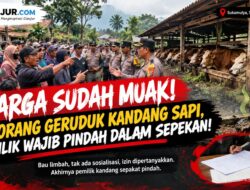 Bau Limbah Bikin Geram, 150 Warga Bersatu Tolak Kandang Sapi di Pemukima